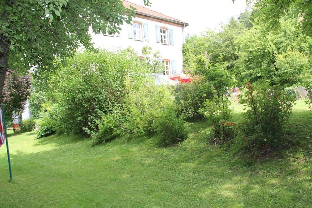 Haus Mit Geschichte In Maehring Apartment Екстериор снимка